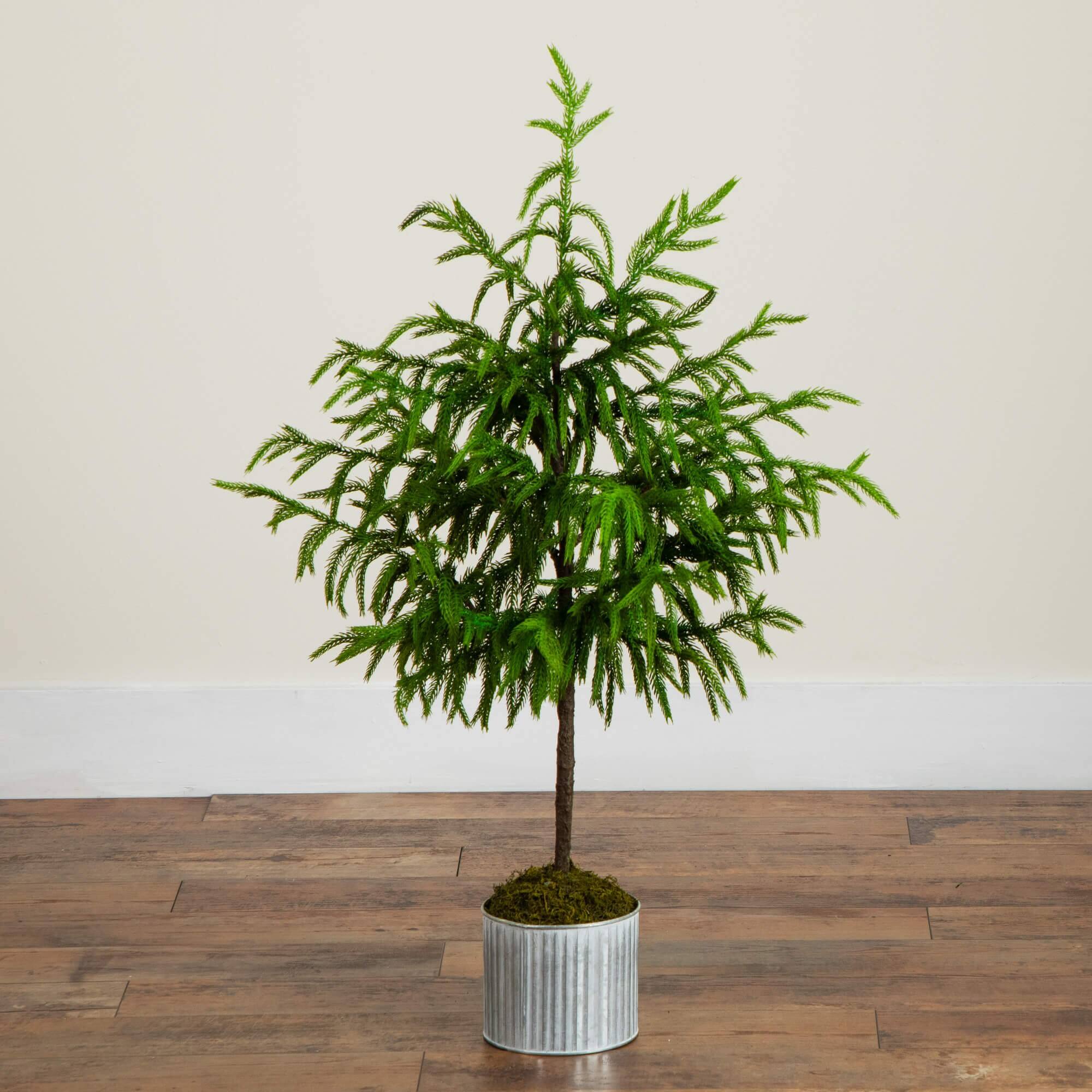 3ft. Unlit Real Touch Norfolk Island Pine Artificial Christmas Tree in Metal Planter